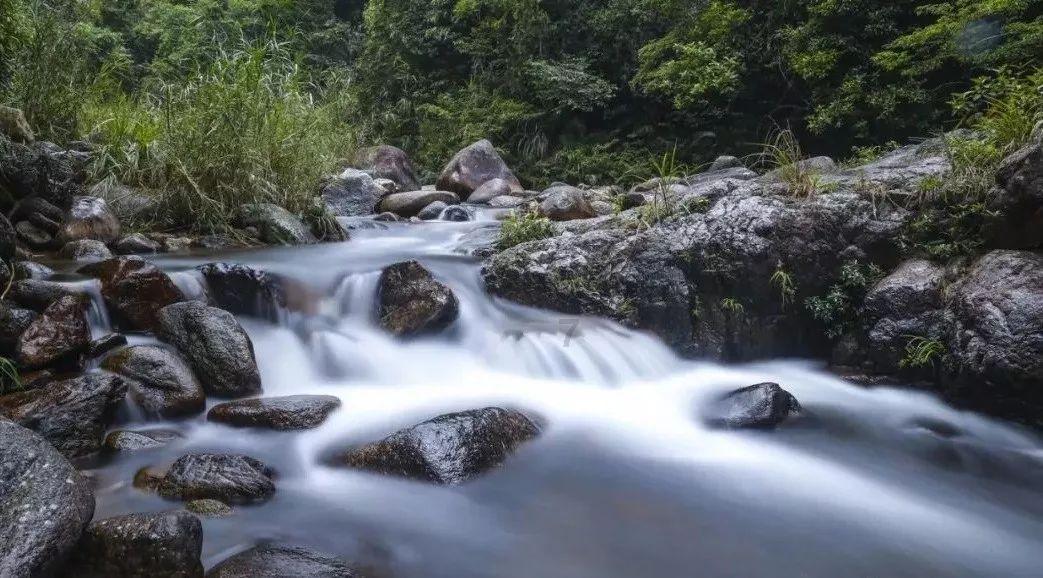 葡超综合:葡体5:2大胜维泽拉