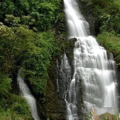 代表团长专访｜把绿水青山、冰天雪地更好转化为金山银山