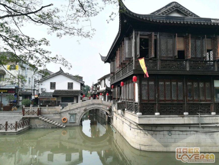 紫色魔法师守城中文版